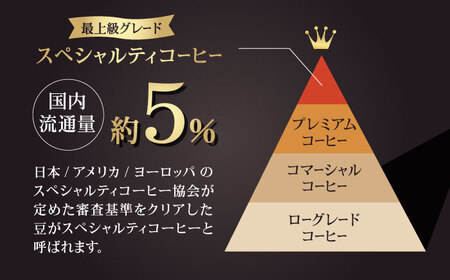 コーヒー[豆]6回定期 自家焙煎スペシャルティコーヒー豆(250g×4種)約80杯分ZCJ014