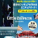 【ふるさと納税】【選べる】Little Universe 年間パスポート（AJ005）