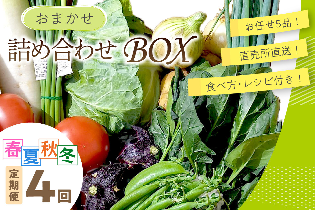 
直売所直送 「京都・京丹後産 季節の野菜」お任せ詰め合わせBOX（5品） 春夏秋冬定期便4回 食べ方・レシピ付き　京野菜 季節 の 野菜 旬野菜 定期便 新鮮 規格外 不揃い 新生活 生産者応援 送料無料　JA00058
