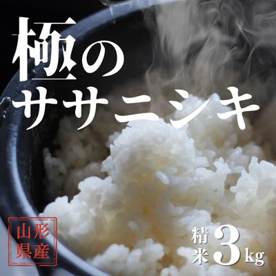 ふるさと納税 新庄市 令和8年産 極みのササニシキ(精米)　3kg