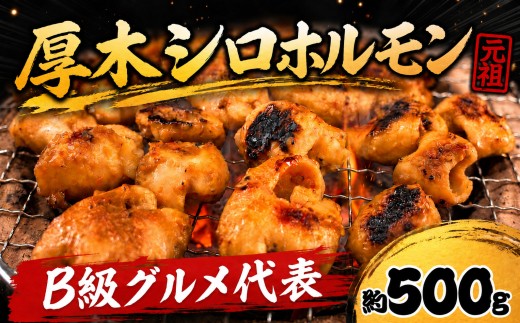 ホルモン シロホルモン 約 500g 豚ホルモン 味付け モツ 味付 もつ 味付け肉 肉 お肉 豚肉 豚ホル 味噌 B級グルメ 王者 ｂ級グルメ 代表 国産豚 焼肉 BBQ おかず 味噌炒め 小分け 冷凍 内臓 神奈川県 厚木市 株式会社富塚商店 TDS001