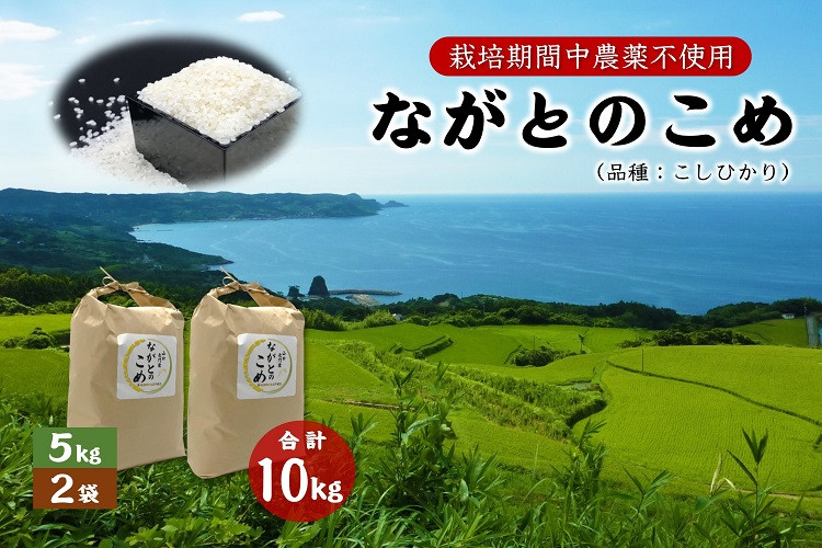 
ながとのこめ こしひかり 白米 5kg×2袋 合計10kg コシヒカリ 精米 長門市 令和6年度産
