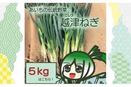 越津ねぎ　約5kg ／ 野菜 国産 伝統野菜 甘み 柔らかい ネギ 送料無料 愛知県 No.142