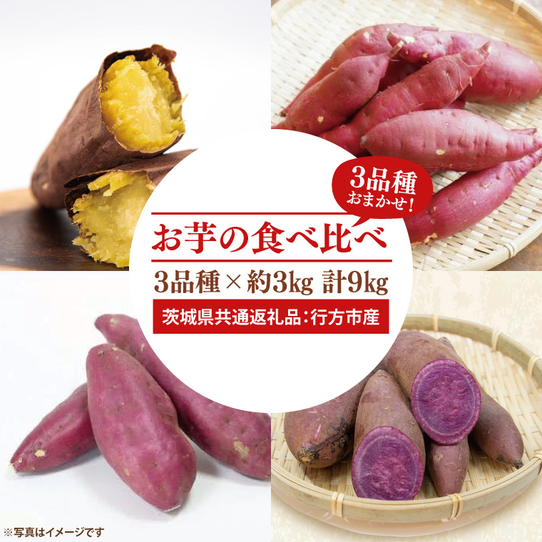【先行予約】お芋の食べ比べ さつまいも 3品種×約3kg 計9kg（茨城県共通返礼品：行方市産）※2025年10月上旬～2026年3月下旬頃に順次発送予定（CD088）