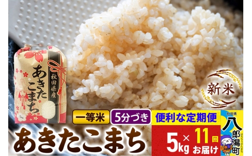 《新米》《定期便11ヶ月》あきたこまち 一等米 5kg【5分づき】 令和8年産 秋田県産 こまちライン [新米 こまちライン あきたこまち ブランド米 お米 白米 精米 無洗米 米どころ 秋田 秋田県産]