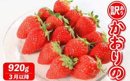 《3月～発送》 先行予約 訳あり いちご かおりの 計920g いちご いちご いちご Berry Mate Farm