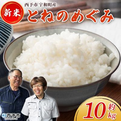 ふるさと納税 西予市 新米&lt;令和7年産 とねのめぐみ 約10kg 西予市宇和町産&gt; 内容量 加茂ファーム