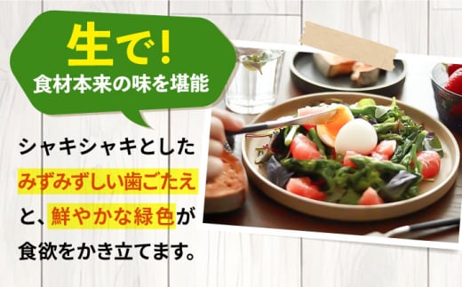 壱岐産　アスパラガス 2kg（L~2Lサイズ）《壱岐市》【壱岐市農業協同組合】 [JBO148] 22000 22000円