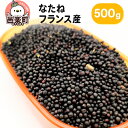 【ふるさと納税】なたね フランス産 500g×1袋 サイトウ・コーポレーション 飼料