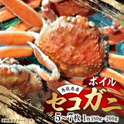 ふるさと納税 智頭町 鳥取県産　ボイルセコガニ大　5〜7枚(1枚:180〜200g)