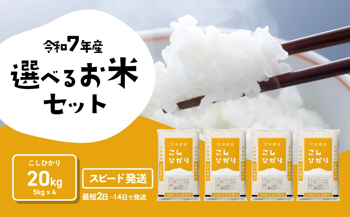 
                  【スピード発送】コシヒカリ 20kg 令和7年産 精米 白米 茨城県産 米 お米 すぐ届く すぐ発送 [RA003yai]
                