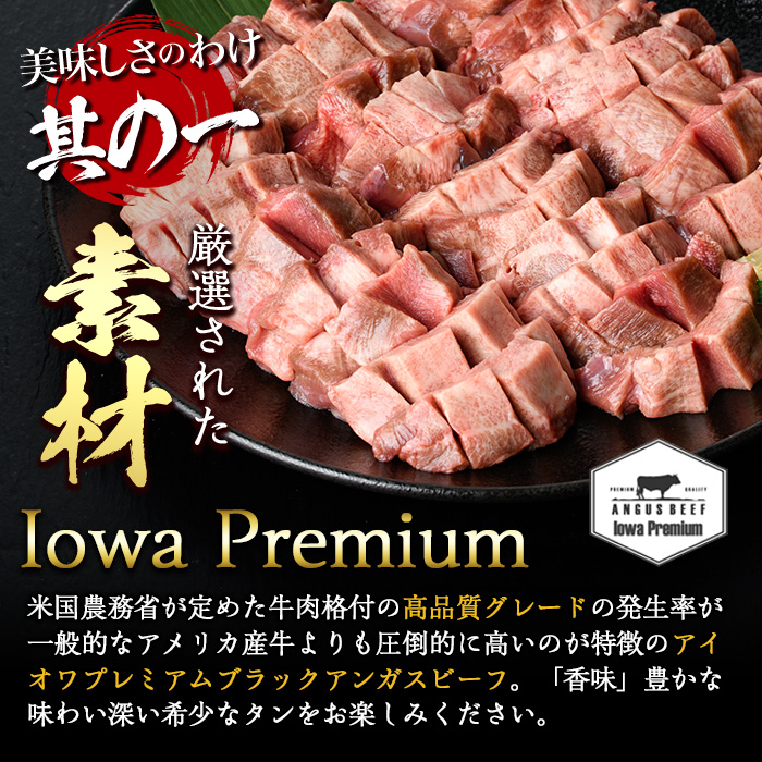 ＜定期便・全6回 (2か月ごとの発送)＞厚切り 塩味 牛タン (総量2.4kg) 定期便 小分け 牛肉 肉 タン 牛たん 味付け 焼肉 塩 BBQ 冷凍 大分県 佐伯市【DH316】【ネクサ】