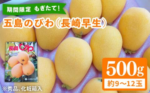 【期間限定】五島のびわ（長崎早生）500g 秀品 化粧箱入 五島市/ごとう農業協同組合 [PEM001]