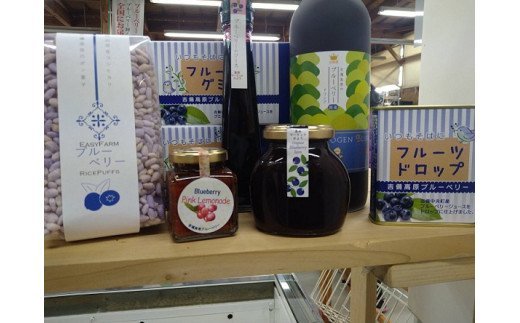 【引退競走馬支援!】吉備中央町産ブルーベリー加工品セットB