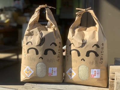 わたなべ農園のきぬむすめ　10kg