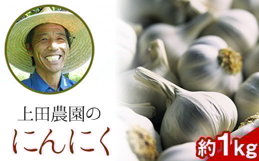 『上田農園』のにんにく約1kg 《7月上旬-9月中旬頃出荷》熊本県玉名郡玉東町