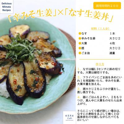 ふるさと納税 三股町 辛みそ生姜130g×8袋セット【MI090】 |  | 03