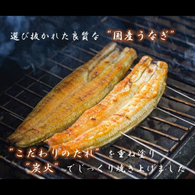 【国産うなぎ】大サイズ140g -170g　三河一色産　3尾　炭火蒲焼き(タレ付き)【配送不可地域：離島】【1659356】