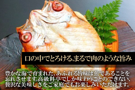 のどぐろ一夜干し 2尾 【4回定期便】【1尾あたり101～120g 2尾 のどぐろ干物 8枚 のどぐろ ノドグロ あかむつ アカムツ 新鮮 干物 一夜干し 個包装 小分け 真空パック 冷凍 贈答 父の