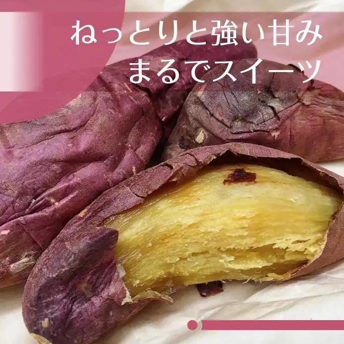 2025年度産 濃厚な甘みさつまいも 紅はるか10kg【茨城県共通返礼品/行方市】【さつまいも サツマイモ 芋 お芋 甘い ねっとり 美味しい 大量 茨城県 北茨城市 】(AK202)