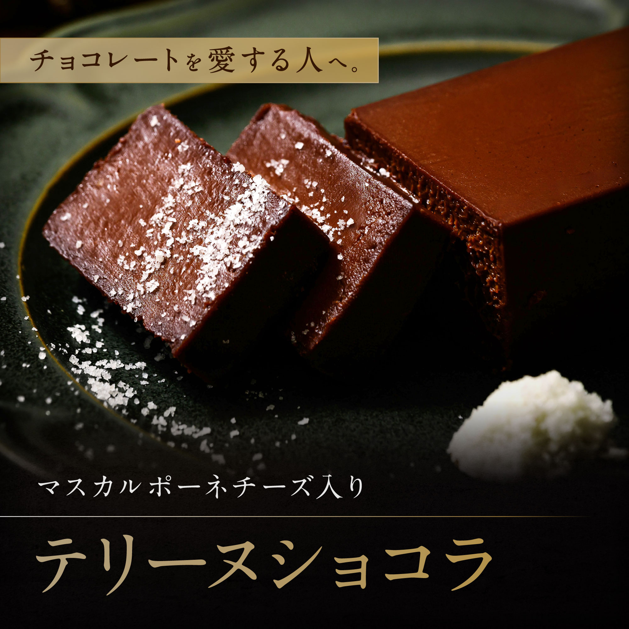 【ふるさと納税】テリーヌショコラ バナナベー 山口県 防府市 O-H17 テリーヌショコラ 濃厚 チョコレート マスカルポーネ なめらか チョコ スイーツ ギフト 贈り物 お取り寄せ