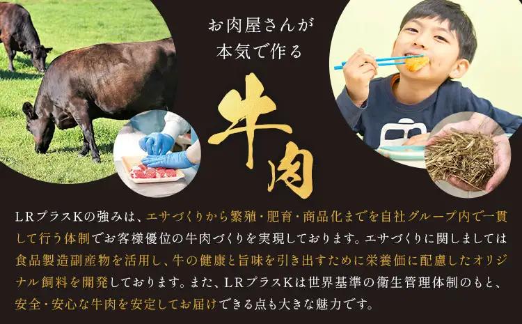 肉 牛肉 鹿児島県産 黒毛和牛 ヒレステーキ 2種盛り ステーキ サイコロ 240g A5等級 LRプラスK 《90日以内に出荷予定(土日祝除く)》 A5 鹿児島県 さつま町