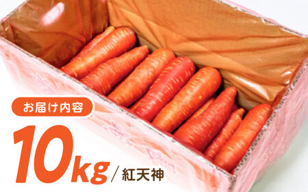 【甘みと栄養たっぷり！】 真っ赤な人参 「紅天神」 10kg / にんじん ニンジン 人参 やさい 野菜 / 諫早市 / 滝商店株式会社[AHCU002]