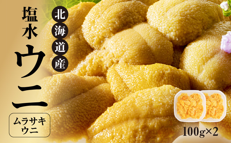 【先行予約：2025年4月末以降順次発送】北海道産 世壱屋 塩水ウニ（ムラサキウニ）200g_Y038-0139