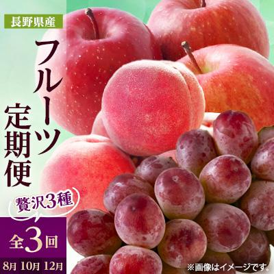 ふるさと納税 中野市 【発送月固定定期便】2026年発送 長野の果物 桃+クイーンルージュ+サンふじ全3回