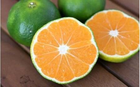 みかん 極早生温州みかん 約5kg 【2026年9月下旬頃～10月下旬頃に順次発送】【nkmr0016】