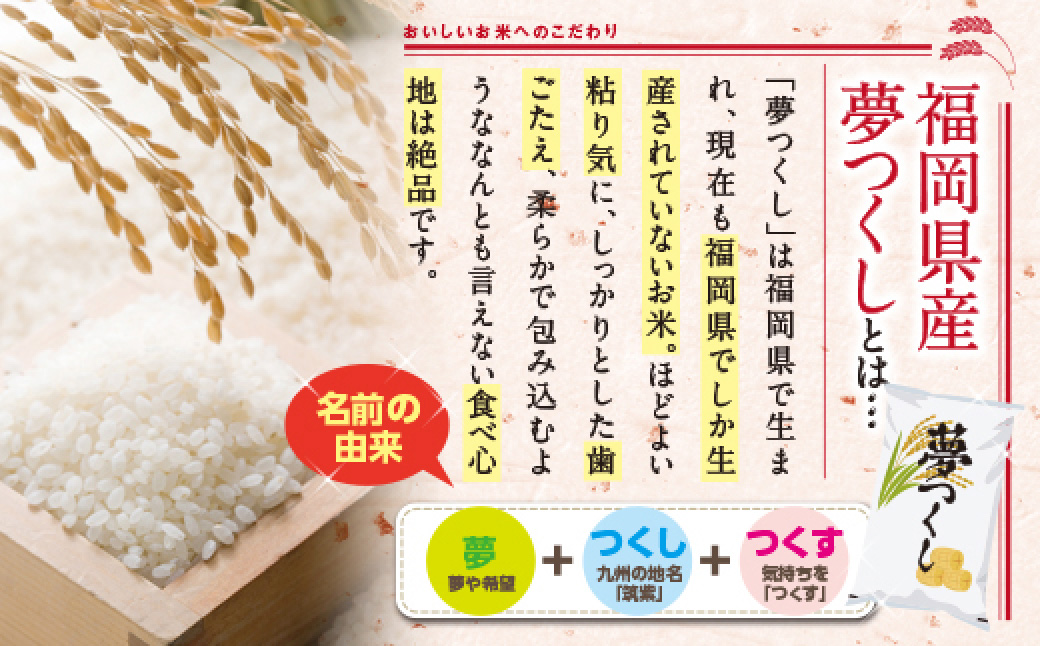 夢つくし(精米) 福岡県産ブランド米 15kg 4J3