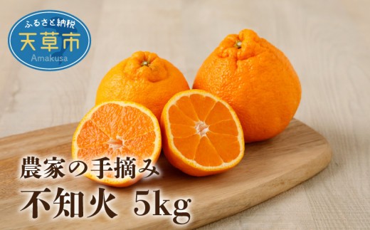 
                  S040-011_農家の手摘み不知火 約5kg 家庭用〈先行受付〉 柑橘 不知火 約 5kg 選べる 発送時期 果物 フルーツ 農家 手摘み 家庭用 大小ミックス サイズ 日持ちが良い しっかりとした味わい 果実 皮が剥きやすい 薄皮 柔らかい みかん 食品 食べ物 熊本県 天草市 お取り寄せ お取り寄せフルーツ 送料無料
                