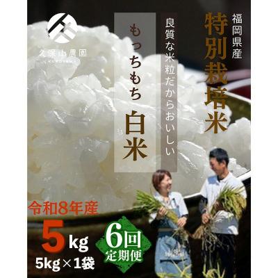 ふるさと納税 筑前町 令和8年産【先行予約】【定期便6回】久保山百年米 特別栽培米 白米 5kg 夢つくし/元気つくし