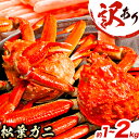 【ふるさと納税】訳あり カニ 松葉ガニ 選べる 約1kg 2～3枚 or 約2kg 2～5枚《2024年11月中旬-2025年3月中旬に出荷予定》鳥取県 八頭町 送料無料 蟹 かに 姿 鍋 ズワイガニ 松葉ガニ ズワイ蟹 ボイル 冷蔵便 松葉蟹 海鮮 魚介