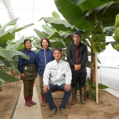 ふるさと納税 南足柄市 南足柄産バナナ(栽培期間中農薬不使用) 5本セット※数に限りがございます |  | 03