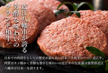 【2月末までに発送】【溢れる肉汁で大人気！】近江牛と黒豚のハンバーグ【900ｇ（150ｇ×6個）】【AF01SM-2m】