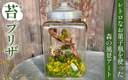 レトロなお菓子瓶を使った森の風景アート No.356