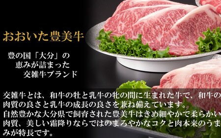 2264R_おおいた豊美牛切り落とし 600g (300g×2P)