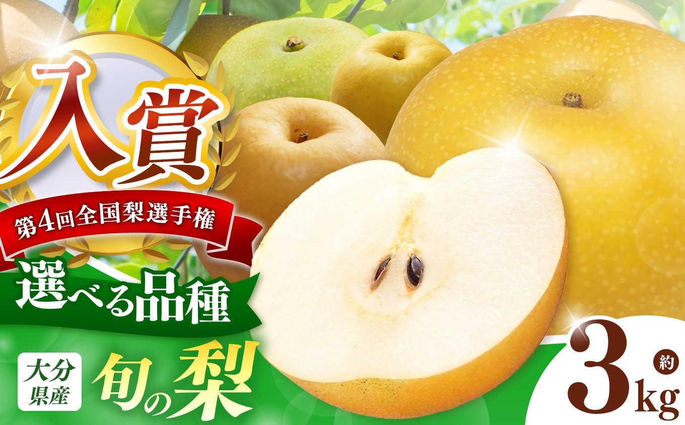 
            西江豊水園の旬の梨 選べる 品種 約3kg | フルーツ 果物 くだもの 果実 数量限定 旬 完熟梨 梨 なし ナシ 喜水梨 幸水梨 豊水梨 菊水梨 新興梨 かおり梨 和梨 3kg 3キロ 新鮮 産地直送 大分県産 九州産 国産 大分県 中津市
          