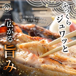 【定期便全3 回4 ヶ月毎】 干物 厳選セット 7種 11枚 朝市 干物