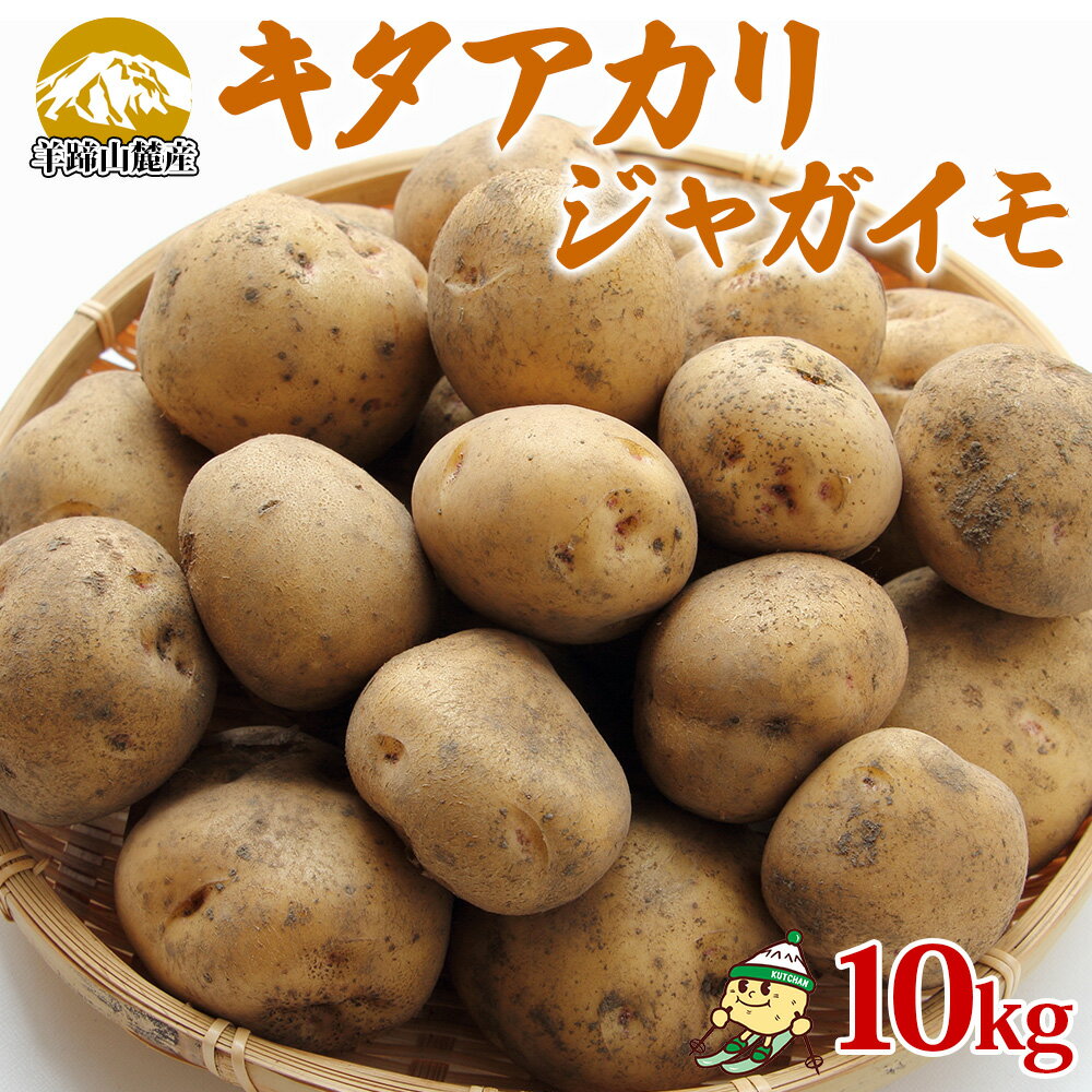 【ふるさと納税】北海道産 じゃがいも キタアカリ 約10kg Lサイズ ジャガイモ 北あかり 馬鈴薯 ポテト クリじゃがいも 常備野菜 根菜 産直 国産 JAようてい 送料無料 北海道 倶知安町 北海道のジャガイモ 食品 　お届け：2025年9月下旬～12月下旬