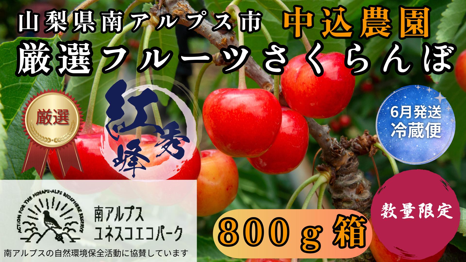 
                  ＜2026年発送先行予約＞ 山梨県南アルプス市産 厳選さくらんぼ (紅秀峰) 800g ALPEM012
                