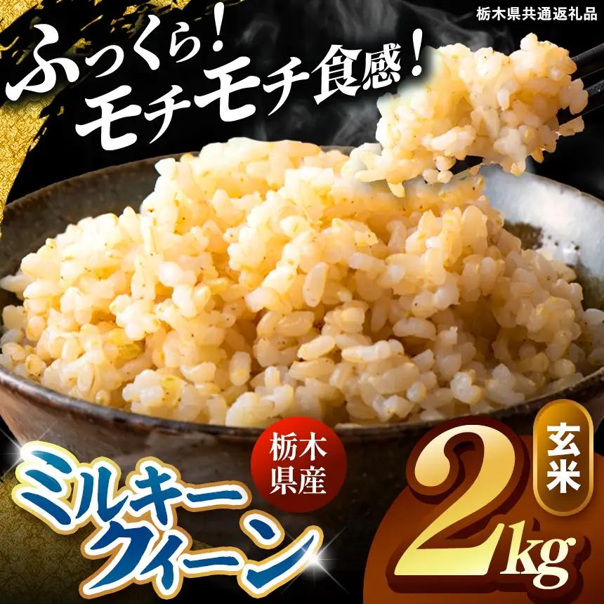 令和8年度産 先行予約 ミルキークイーン 玄米 約2kg