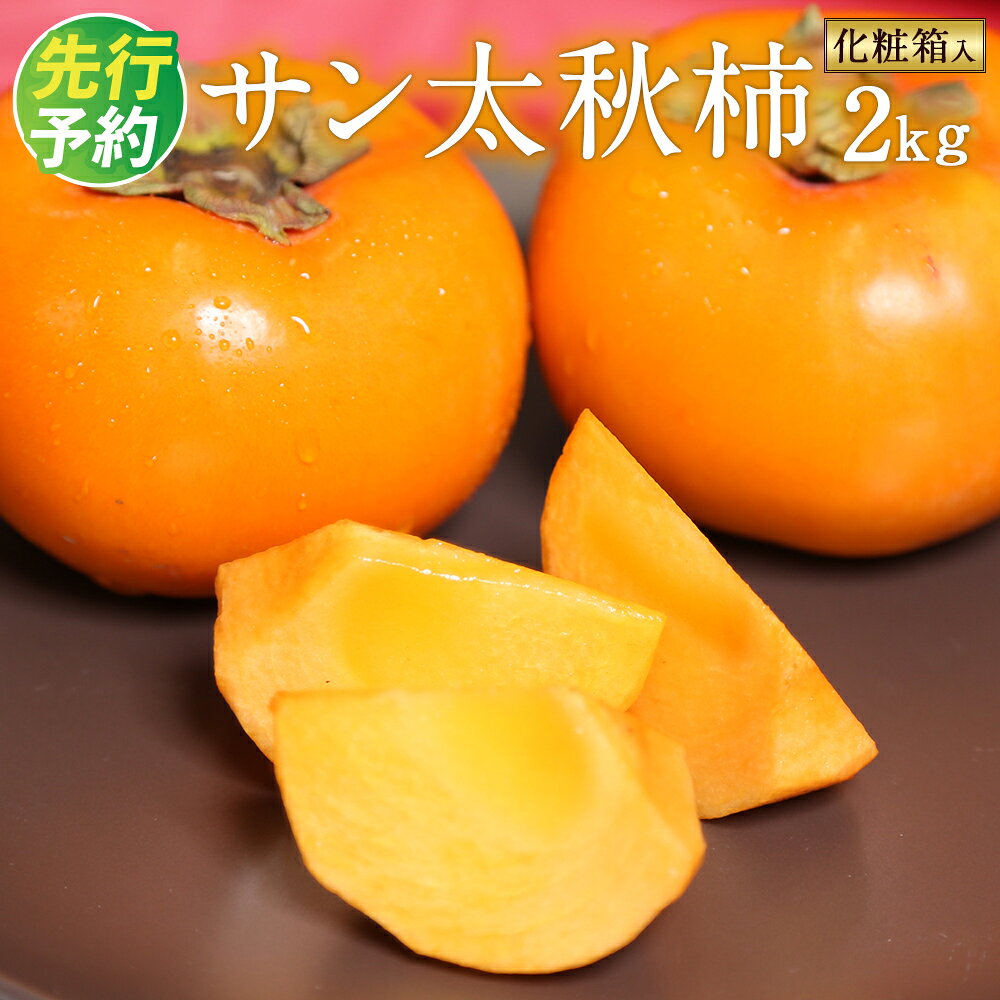 【ふるさと納税】サン太秋 約2kg 大玉5～6玉 柿 太秋柿 かき カキ 果物 フルーツ 九州産 熊本 化粧箱 ギフト 贈り物 送料無料【2026年10月下旬～12月上旬発送予定】