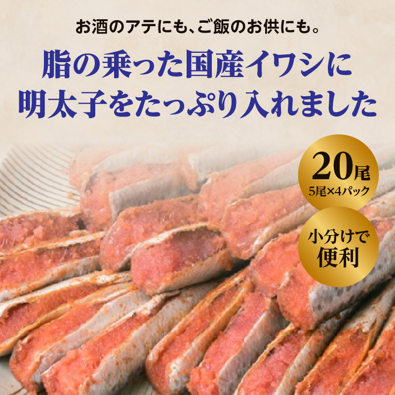 【博多漁師の里】福岡名物！いわし明太子２０尾（５尾×４パック）化粧箱入り 国産真いわし使用 化粧箱入り　国産真いわし使用 鰯 イワシ 旬 魚 めんたいこ ご飯のお供 おつまみ おかず 冷凍 真空パック