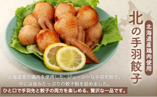北海道産鶏肉を使った手羽餃子【北の手羽ぎょうざ】15個セット(5個×3袋)≪配送地域限定≫【53101】