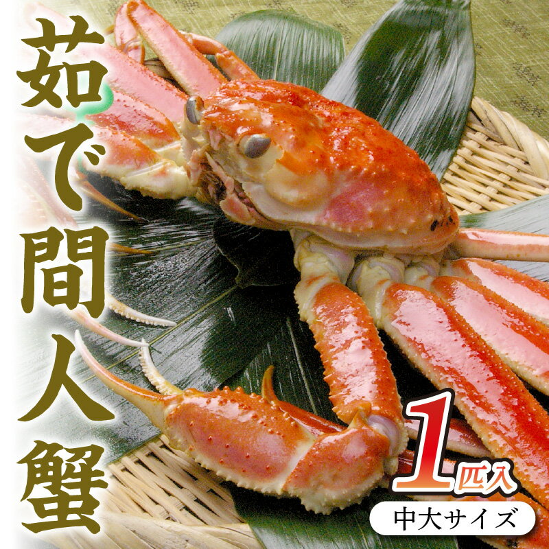 【ふるさと納税】京丹後市産 茹で間人蟹【厳選】中大サイズtaizakani800 カニ かに 蟹 松葉ガニ 間人蟹 茹で間人蟹 天然 1匹 厳選 新鮮 高級 蟹味噌 かにみそ 冬の味覚 冷蔵 間人がに 間人かに たいざがに