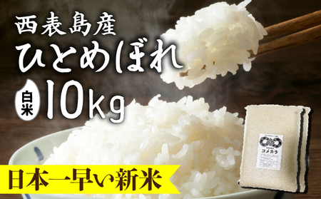 新米ひとめぼれ(白米)10kg