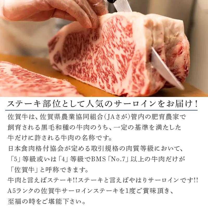 佐賀牛サーロインステーキ 250g×2枚(合計500g) ステーキ