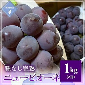 【先行予約 2025年発送】岡山県産　種なし完熟 ニューピオーネ　2房(1kg)【配送不可地域：離島】【1562272】